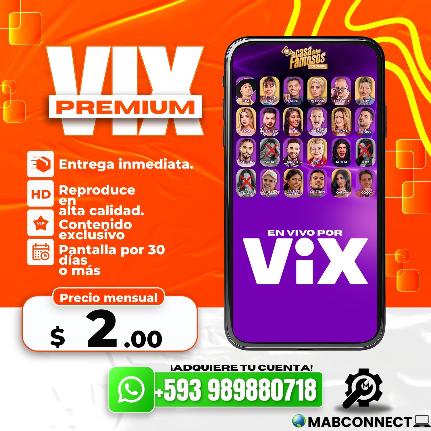 Vix Perfil - Plan Anual